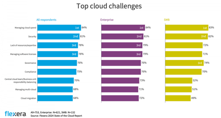 Flexera release their 2024 State of the Cloud report - EasySAM